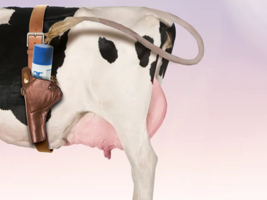 Forebygg infeksjoner hos dyrene dine med rask og effektiv desinfeksjon