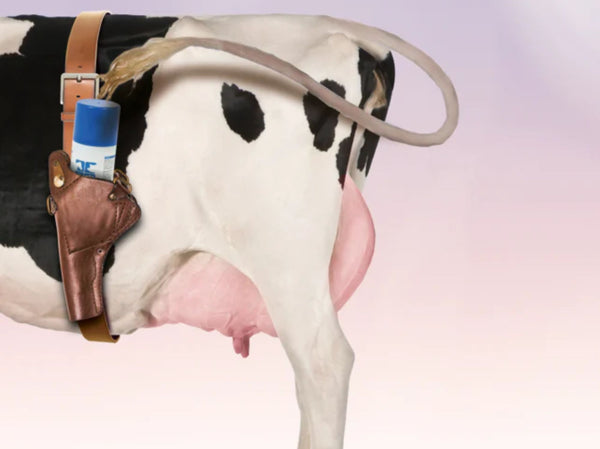 Forebygg infeksjoner hos dyrene dine med rask og effektiv desinfeksjon