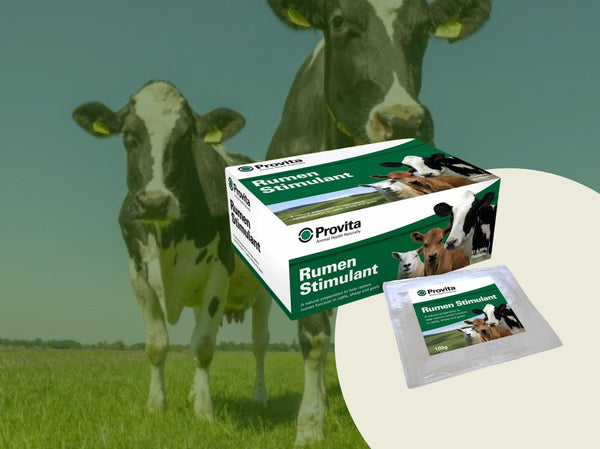 Provita Rumen Stimulant: Løsning for bedre vomfunksjon hos Storfe og Småfe