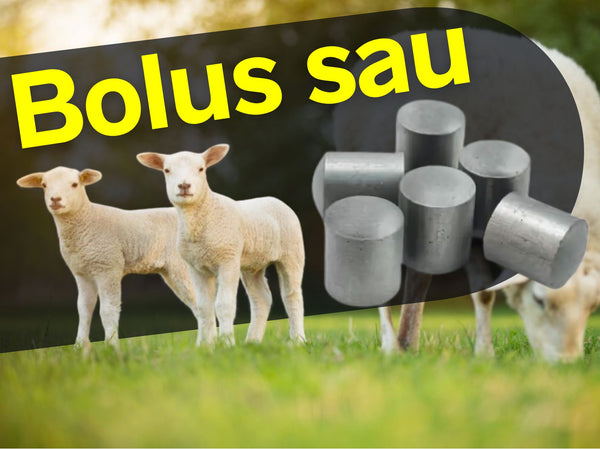 Bolus til Sau: Langtidsvirkende tilskudd for optimal helse