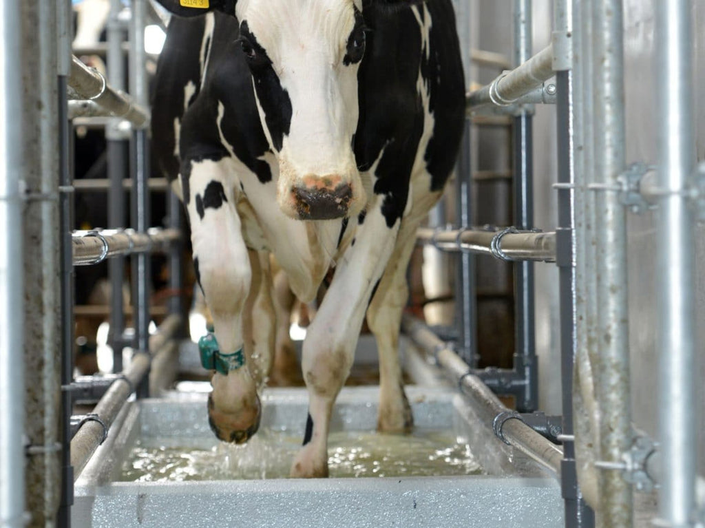 Provita HoofSure Endurance – Effektiv klovpleie