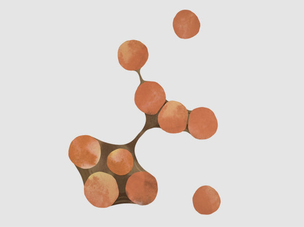 Visste du dette om vask og desinfeksjon i fjørfehus og fjøs?