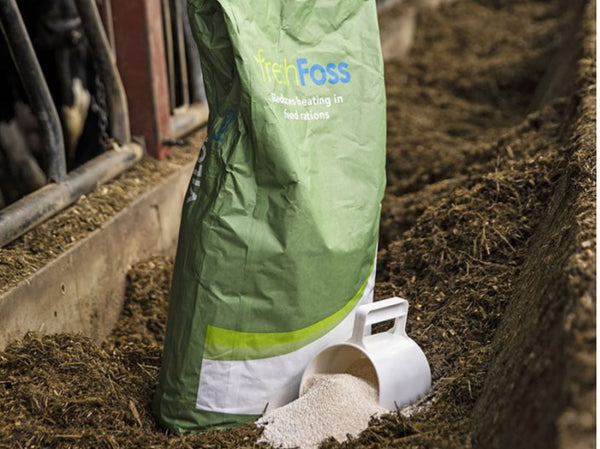Unngå varmgang i fôret – forskjellen mellom FreshFoss og syre