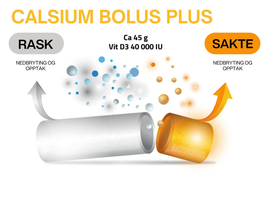 Calcium Bolus Plus 4 stk à 175g: Innovativ løsning for forebygging av melkefeber