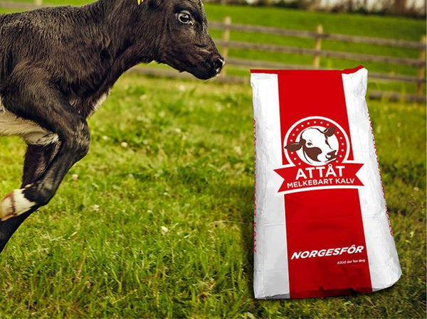 Attåt Melkebart Kalv: En Norsk Melkeerstatning for Optimal Kalvevekst