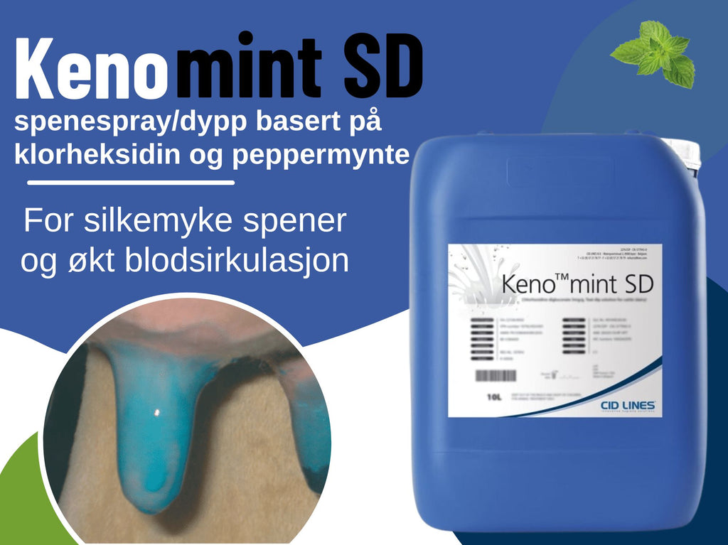 Kenomint SD: Overlegen jur- og spenepleie for forebygging av mastitt