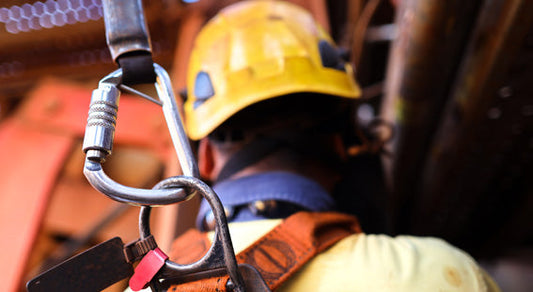 Visste du at fallseler reddet livet til over 50 norske arbeidere i fjor?