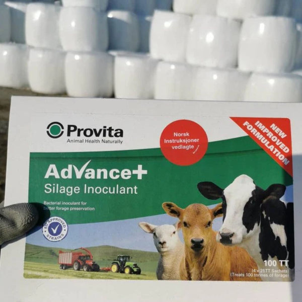 Hva skjer egentlig når vi ensilerer?