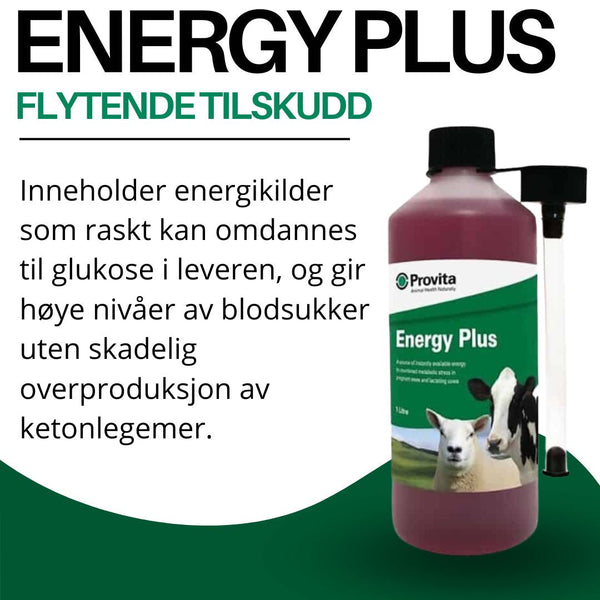 Energy Plus – ekstra energi for melkekyr i krevende perioder