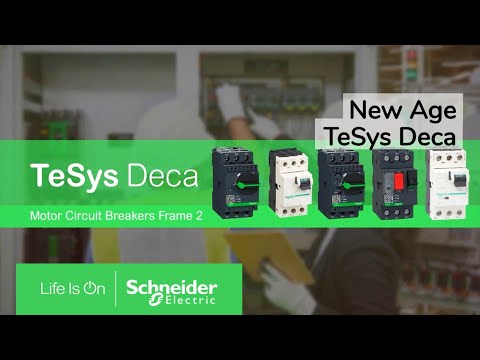 Termiske reléer Schneider TeSys D - 690