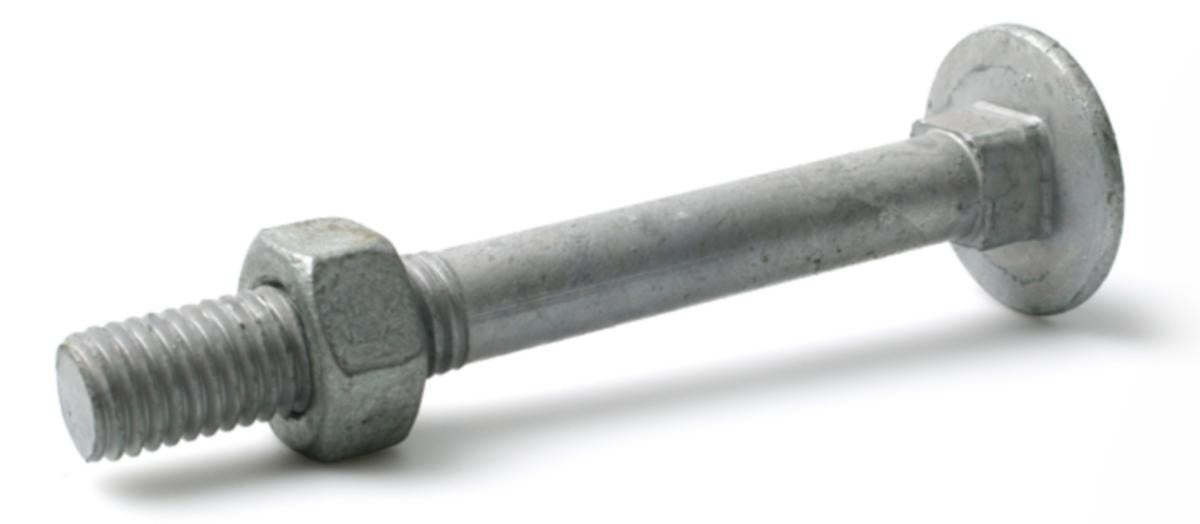 Låseskrue med mutter DIN 603/555 4,6 varmforsinket