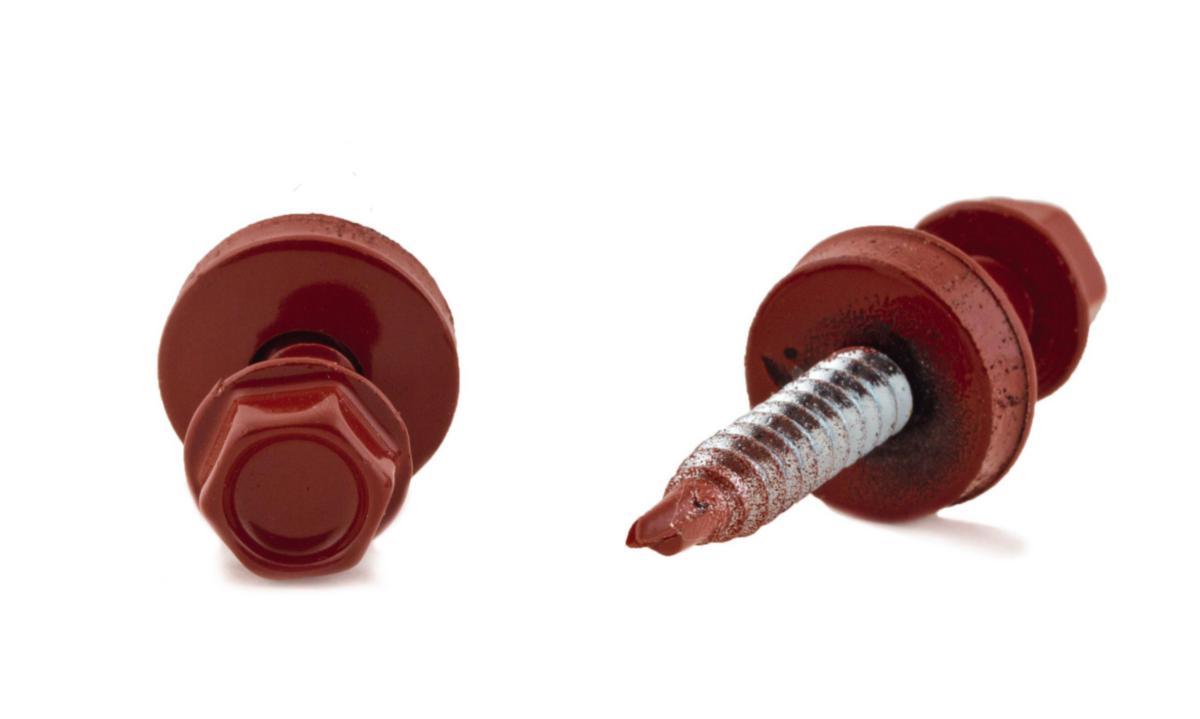 Plateskrue 6kt Borspiss rød