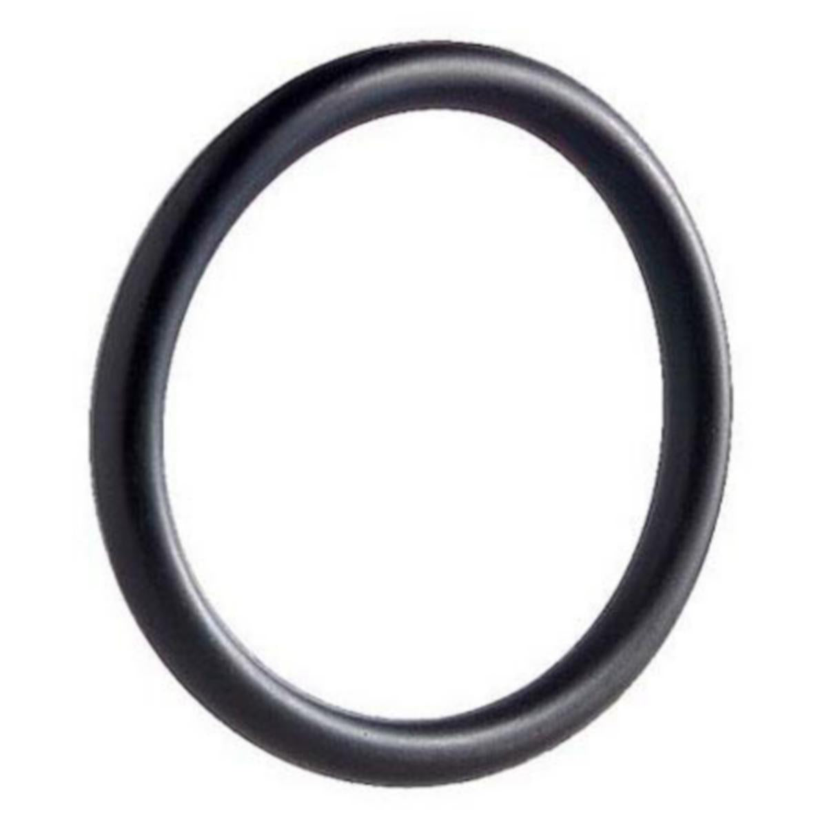 O-Ring Viton