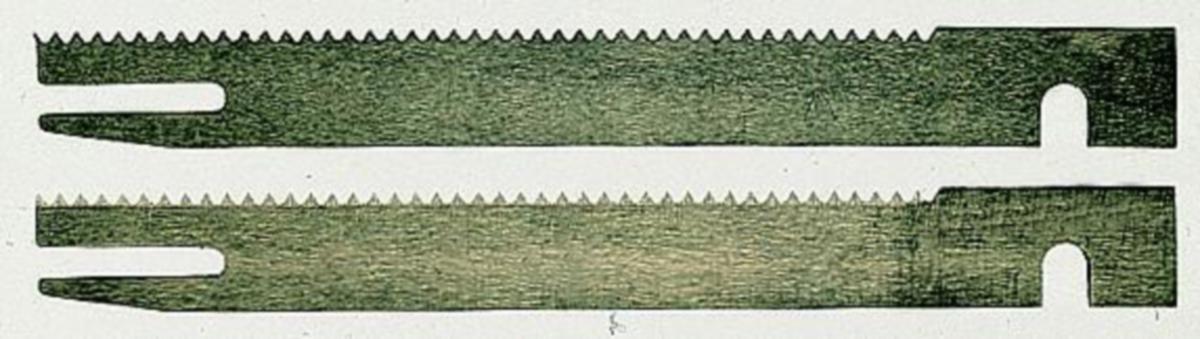 SKU 31051940 main (syncimg k=c517af6db365)