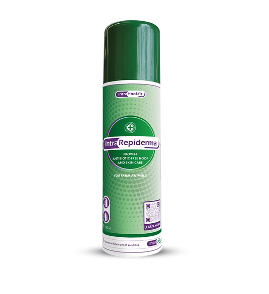 Repiderma Spray