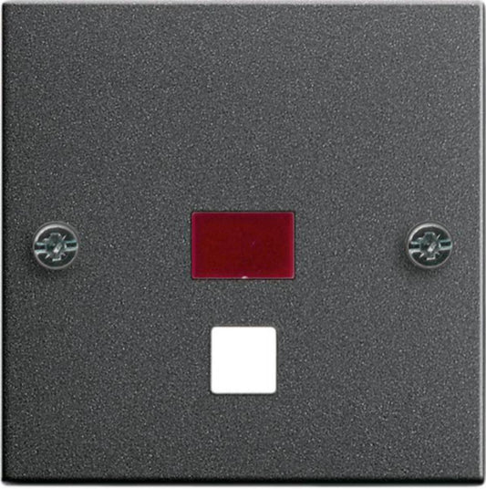 Bryterfront Micro Matic/Function Snorbryter