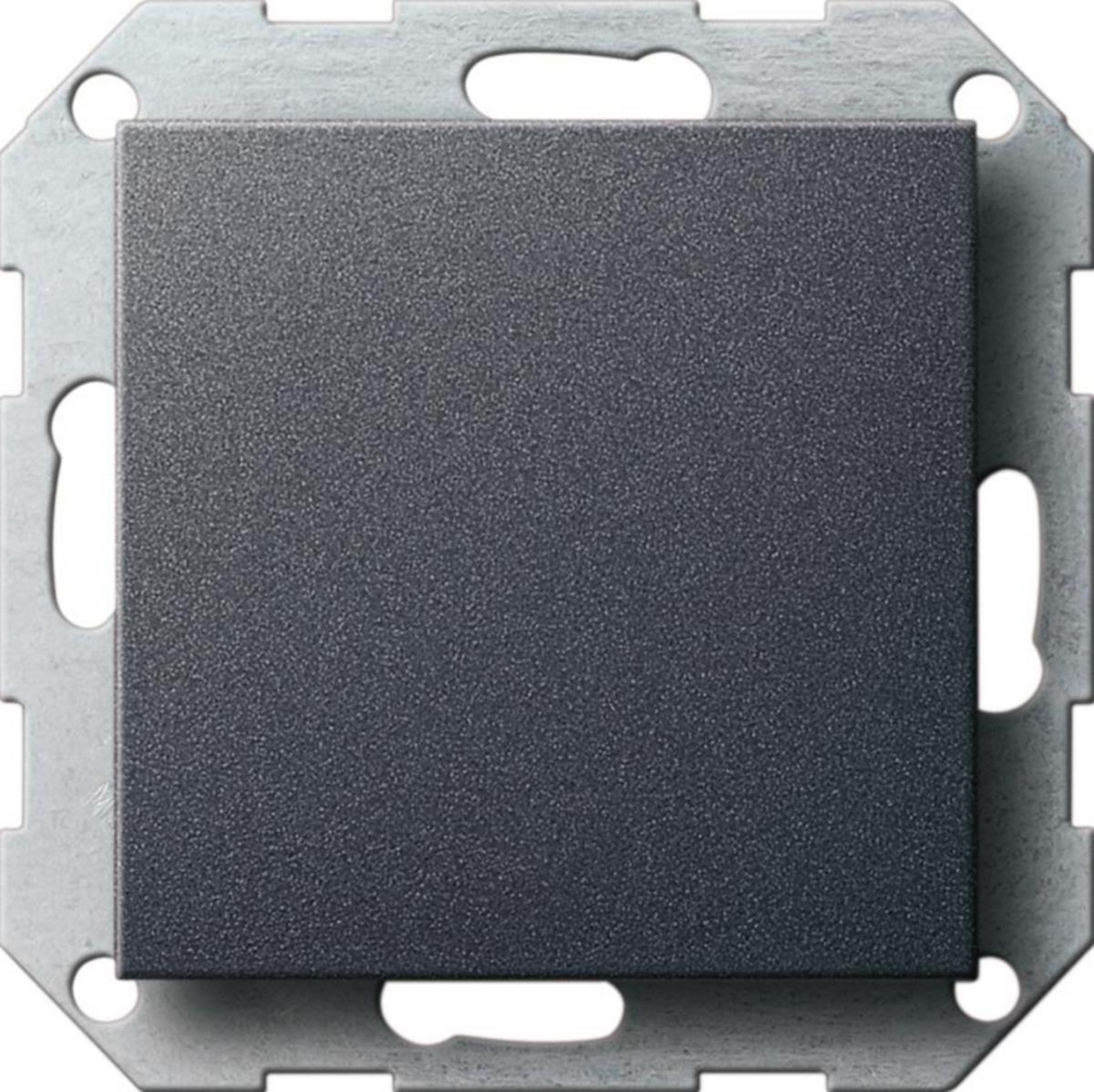 Blindplate Micro Matic/Function System 55