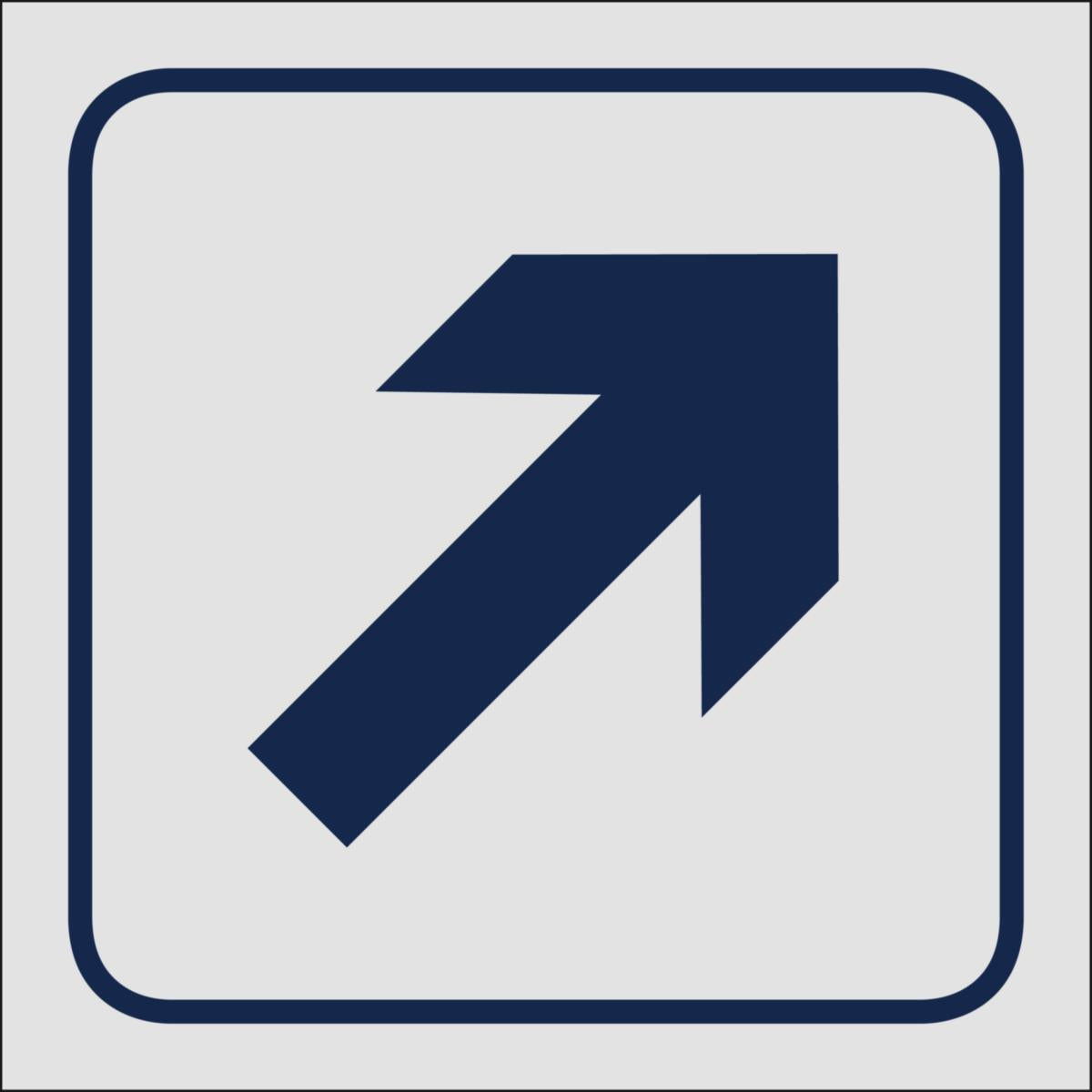 Skilt Systemtext "Pil diagonal"