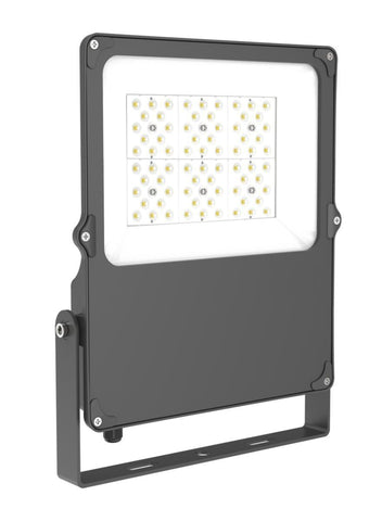 Lyskaster Aneta Lighting Northern Floodlight - 220-230