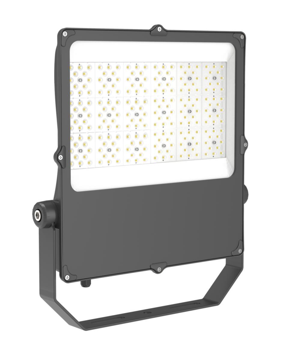 Lyskaster Aneta Lighting Northern Floodlight - 220-230