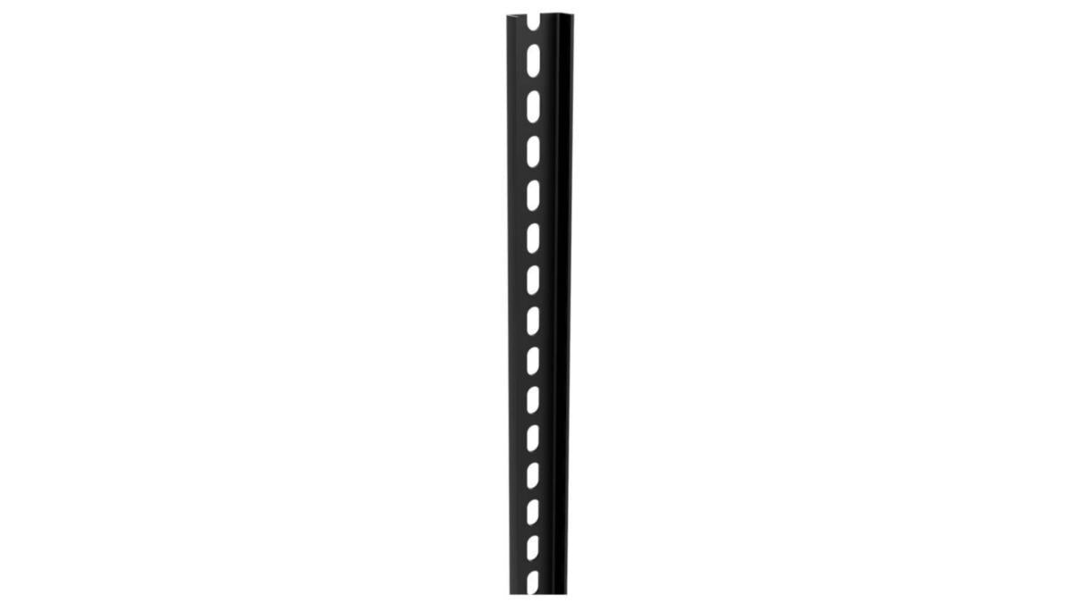 Pendelskinne Elis