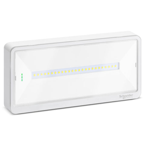 Exiway Light Activa IP65 250lm - Schneider Electric
