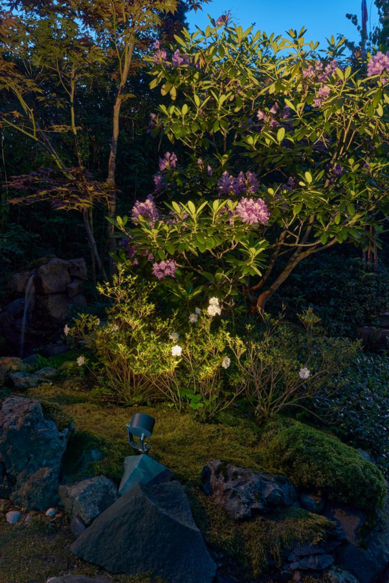 Spotlight Norlys MOSS - 220-240