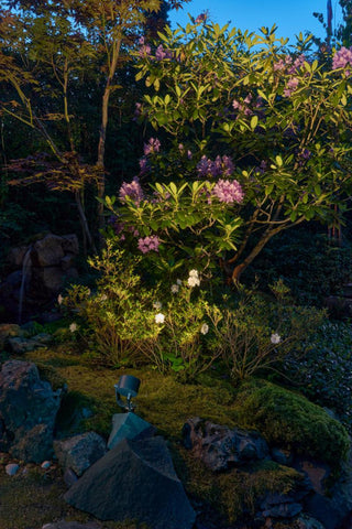 Spotlight Norlys MOSS - 220-240