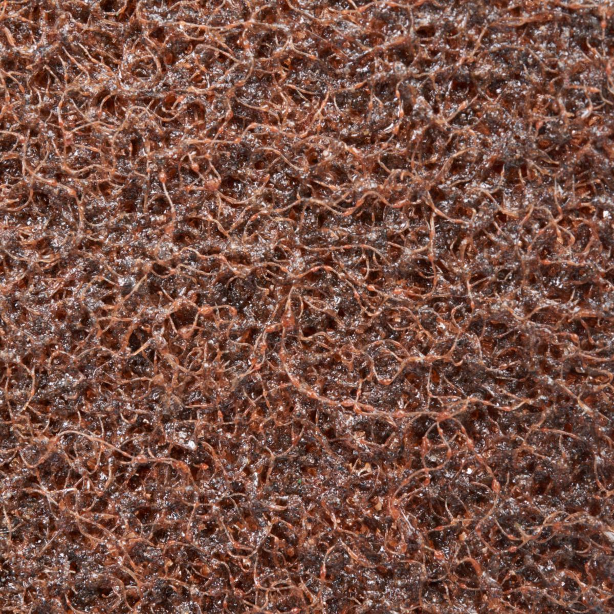 Overflaterondell Scotch-Brite™ SC-DH Ø125mm A CRS