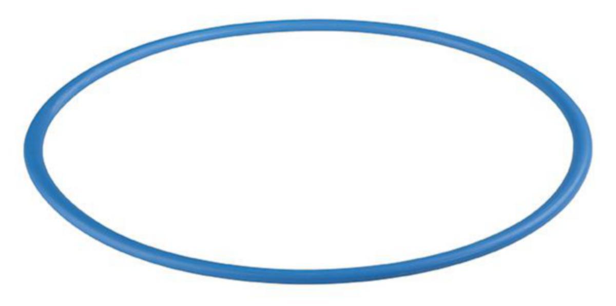 O-ring for DP filterhus - AxFlow