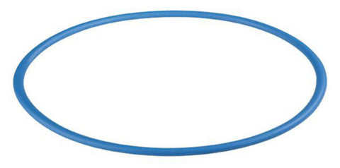 O-ring for DP filterhus - AxFlow