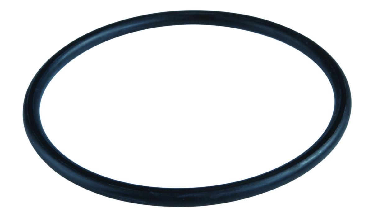 O-ring for DP filterhus - AxFlow