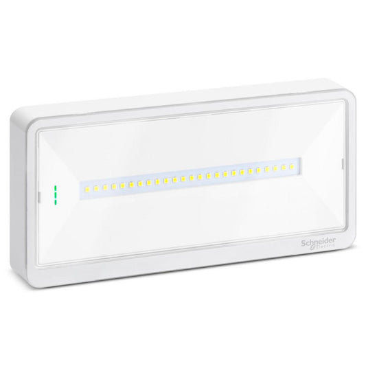 Exiway Light Activa IP65 500lm - Schneider Electric