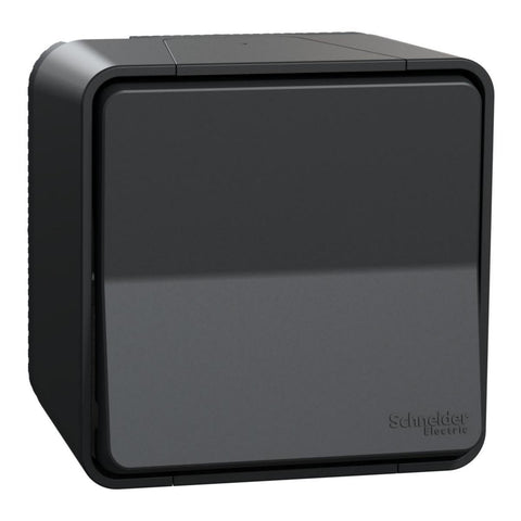Bryter Schneider Mureva - 10