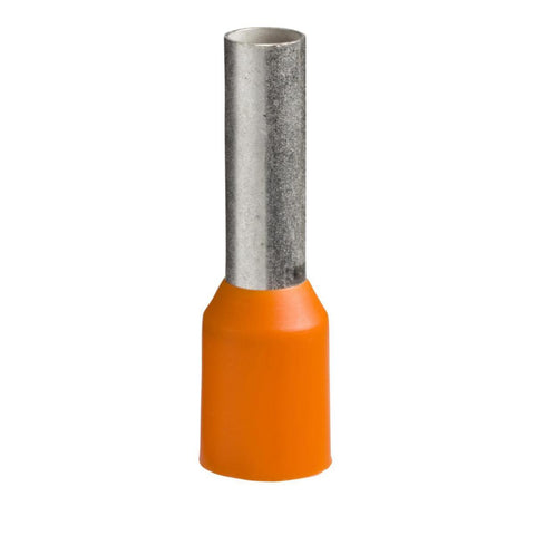 Endehylser Schneider DZ5CE - Schneider Electric