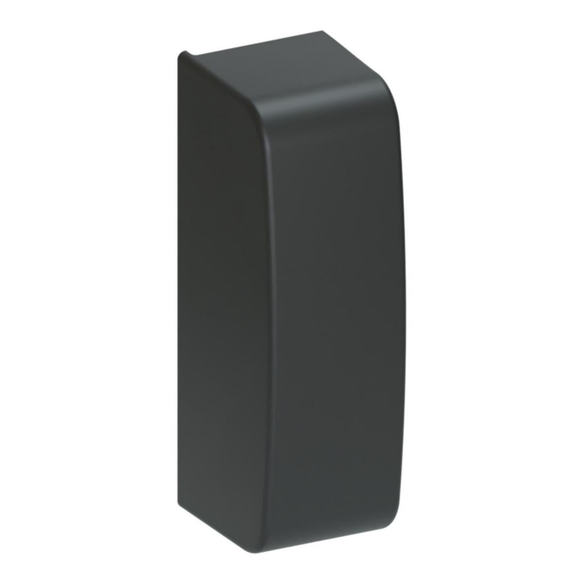 Endestykke OptiLine Mini Svart - Schneider Electric