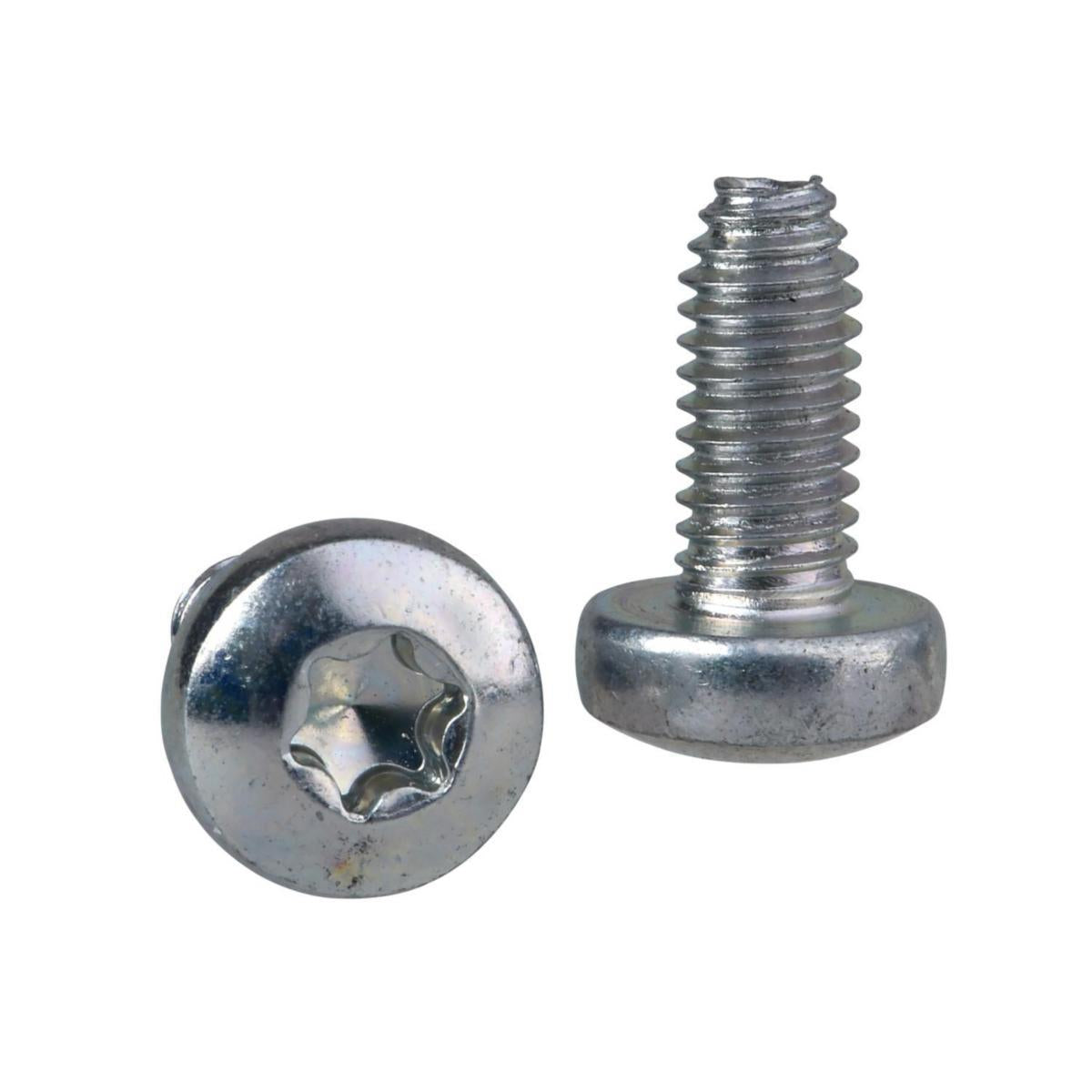 Torx Schneider skrue - Schneider Electric