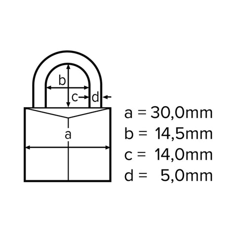 Hengelås a-collection 100