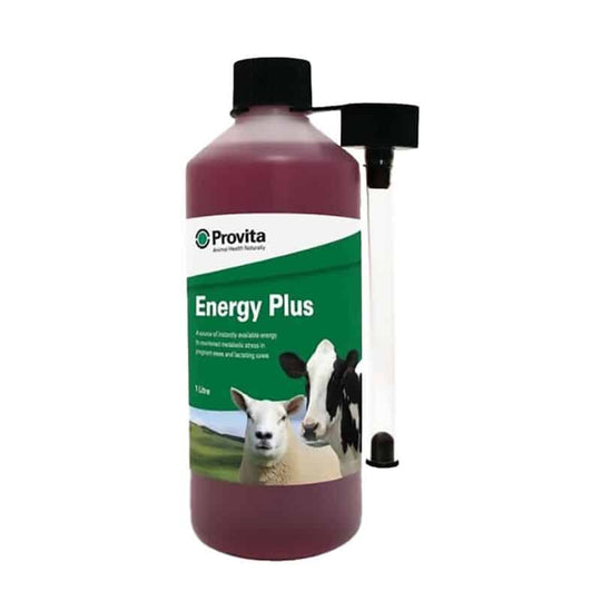 Energy plus 1 liter