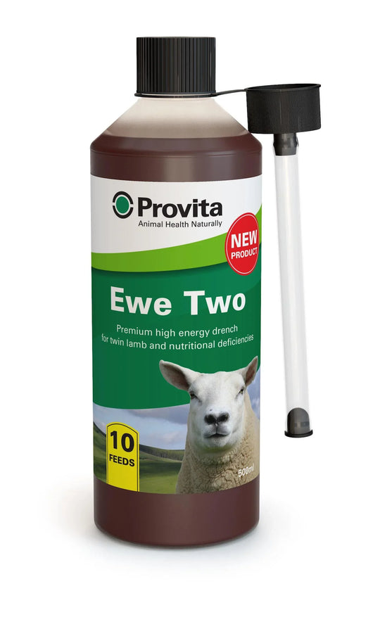 Provita Ewe Two