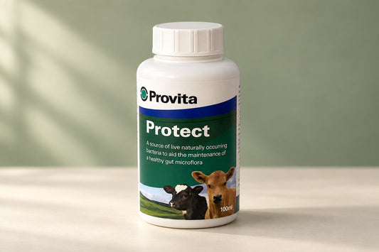 Provita Protect 100 ml – produktillustrasjon basert på originalemballasjen