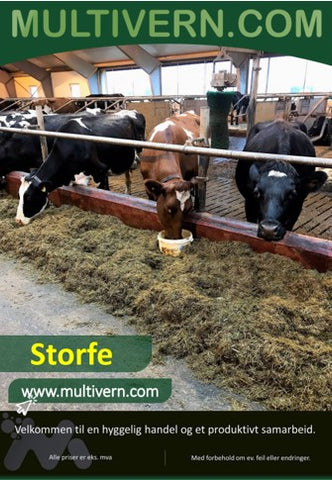 Katalog storfe