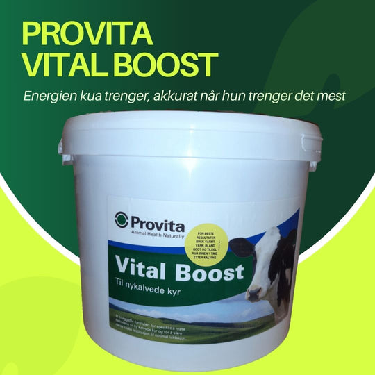 Provita Vital Boost 9,6Kg