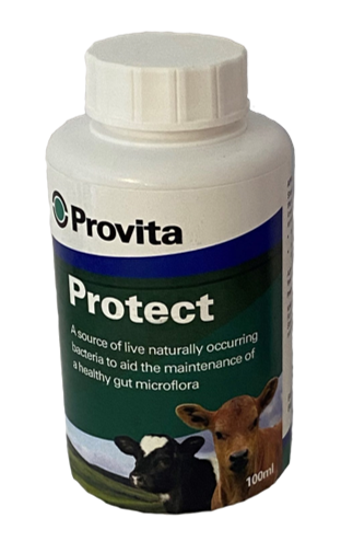 PROVITA PROTECT POM-VPS 100ML