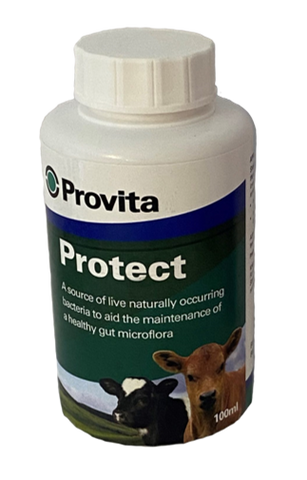 PROVITA PROTECT POM-VPS 100ML