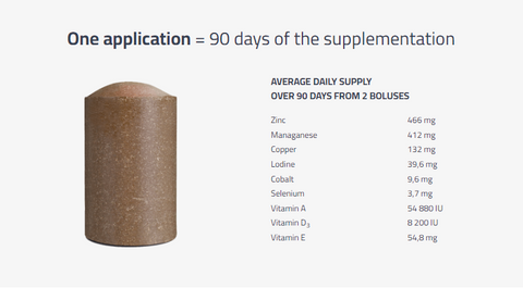Mineral vitamin bolus, 8 STK À 110G