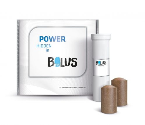 Mineral vitamin bolus, 8 STK À 110G